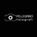 pellegrino pellegrino